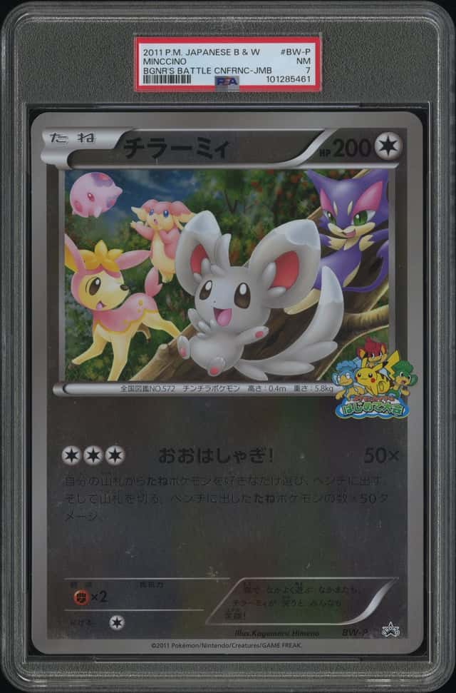 Minccino
