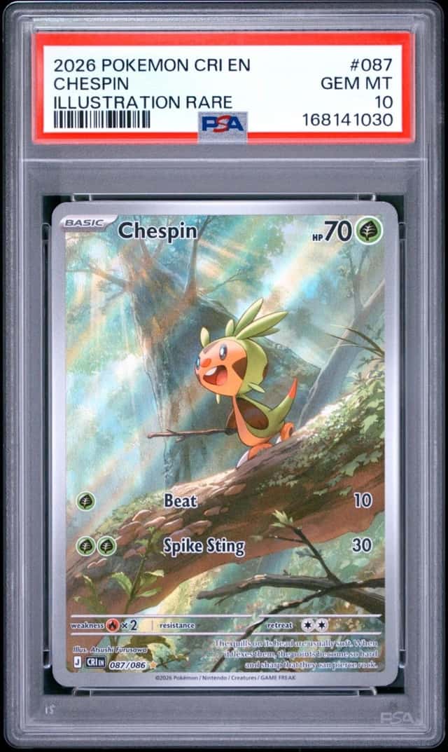Chespin