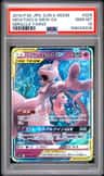 Mewtwo & Mew Gx