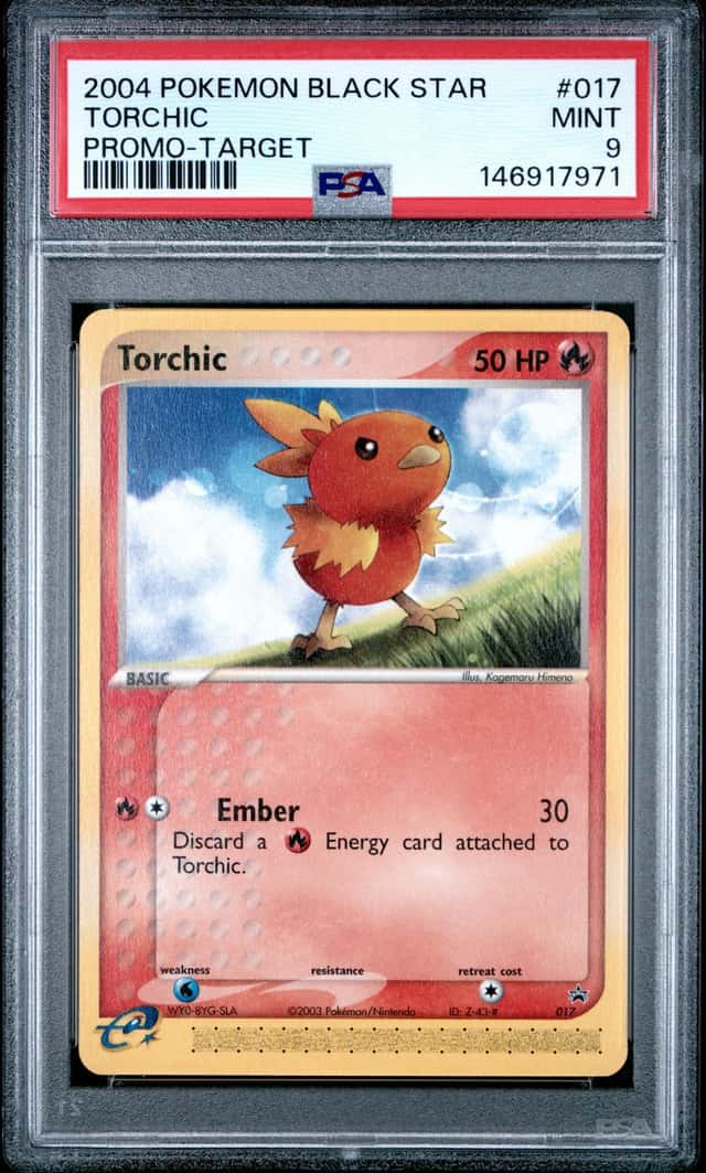 Torchic
