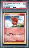 Torchic
