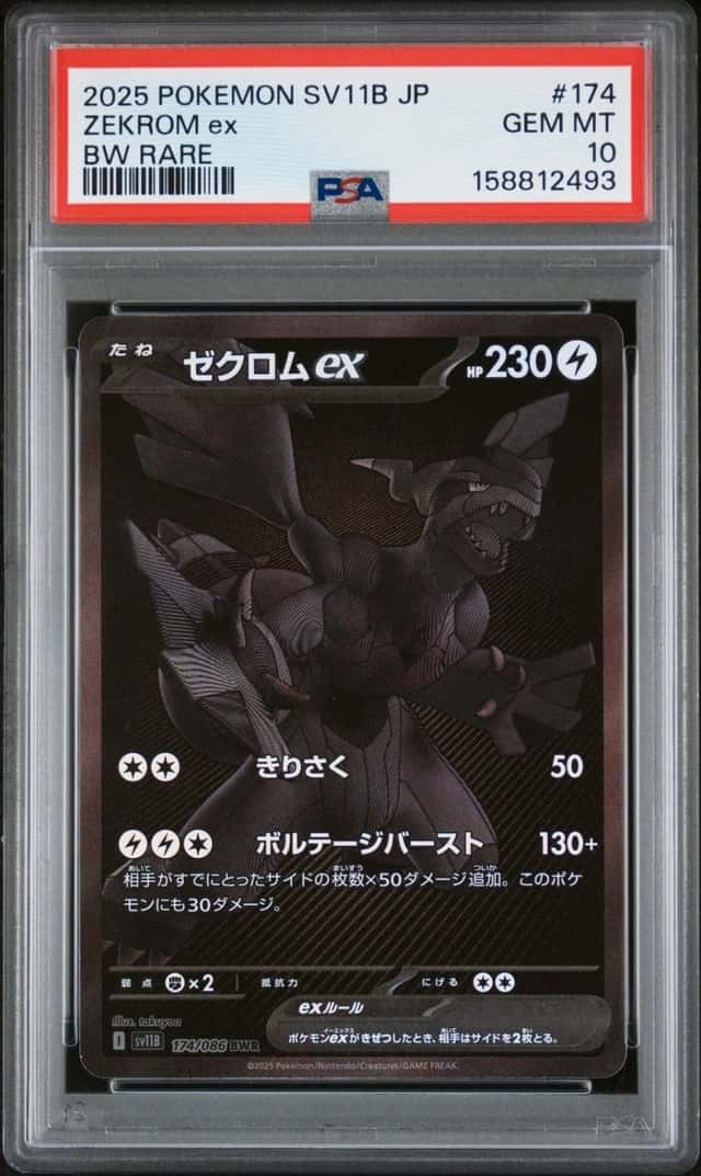 ZEKROM ex
