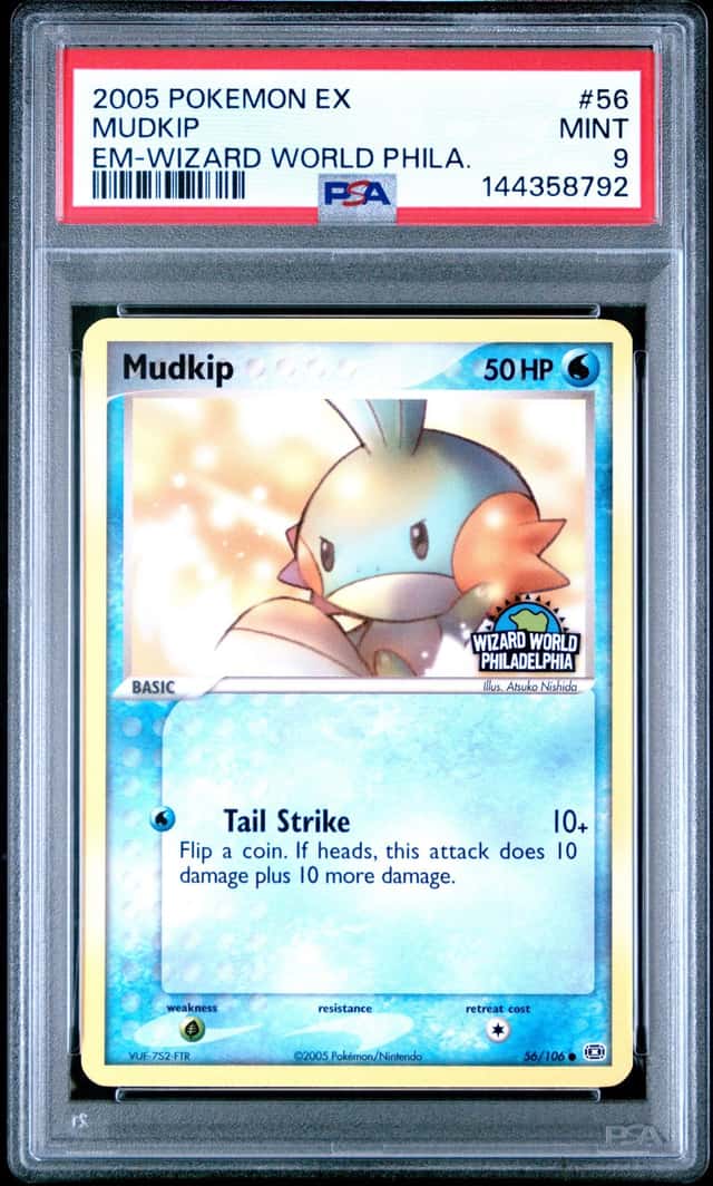 Mudkip