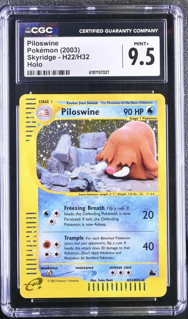 Piloswine