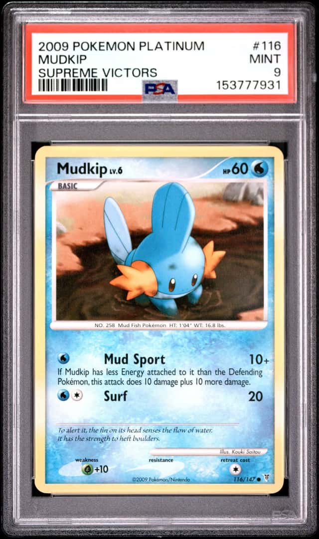 Mudkip