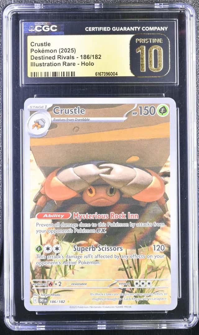 Crustle