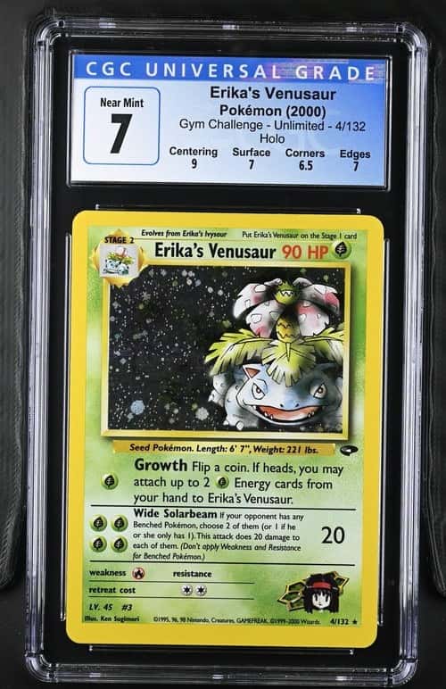 Erika's Venusaur