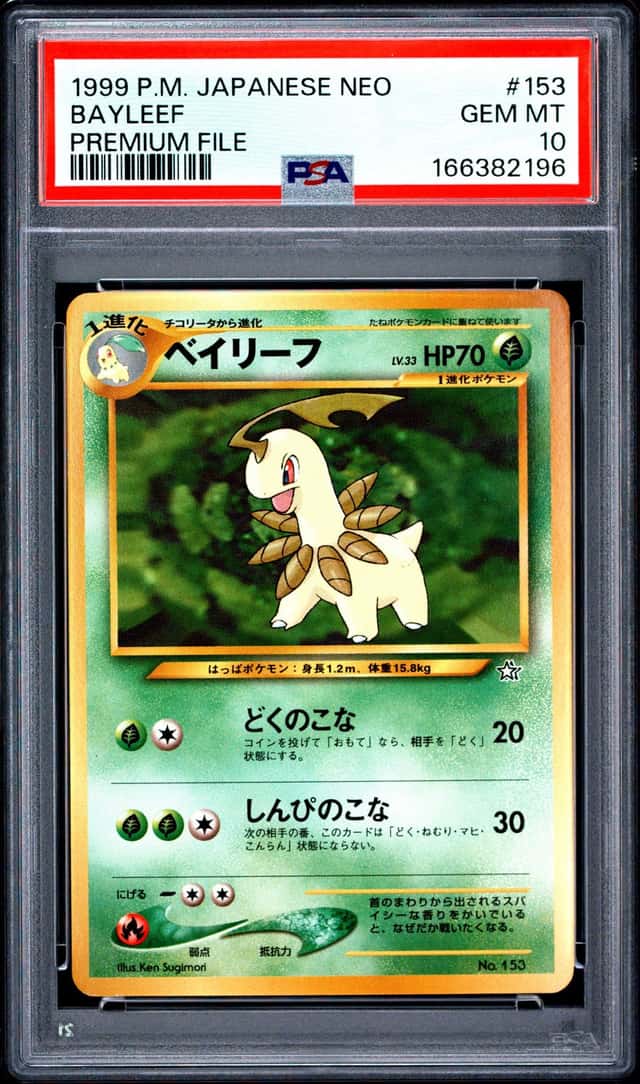 Bayleef