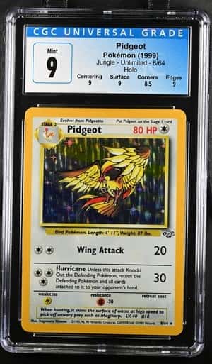 Pidgeot