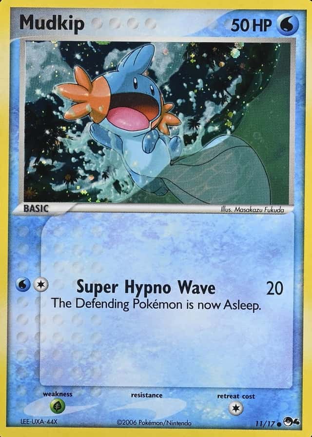 Holo