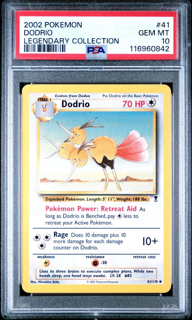 Dodrio