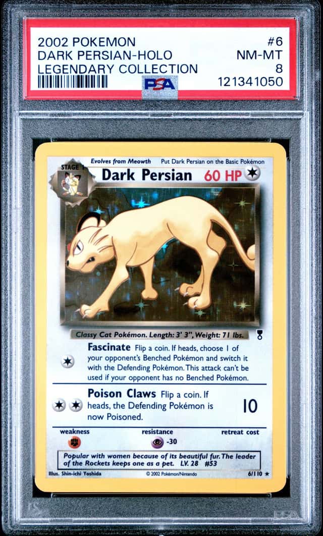 Dark Persian