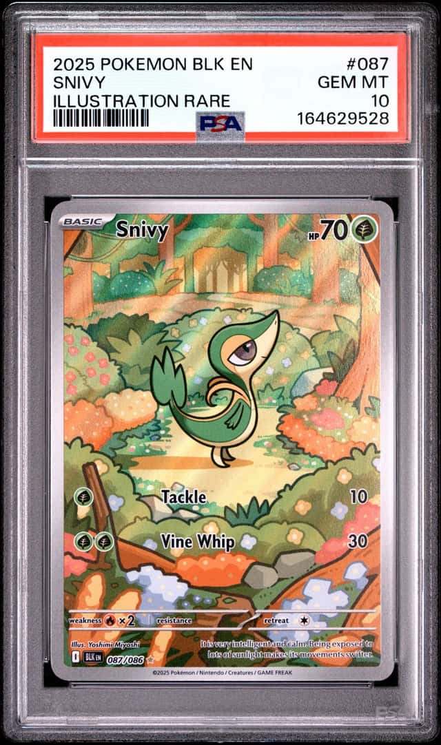 Snivy