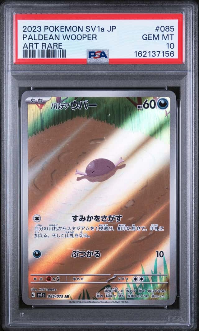 Paldean Wooper