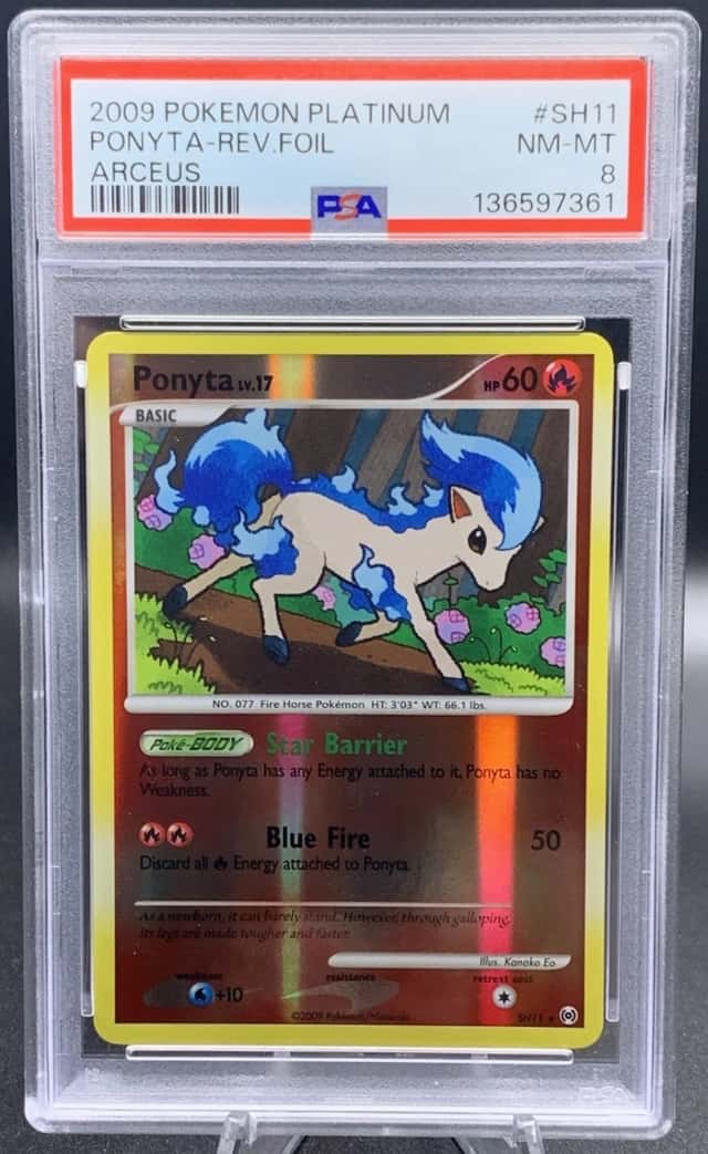 Ponyta