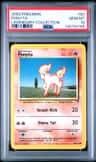 Ponyta