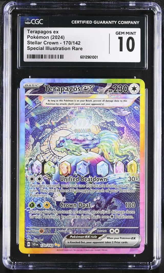 TERAPAGOS ex