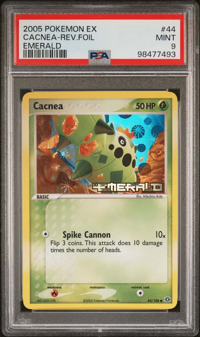 Cacnea