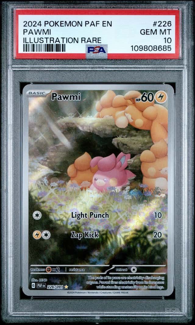 Pawmi