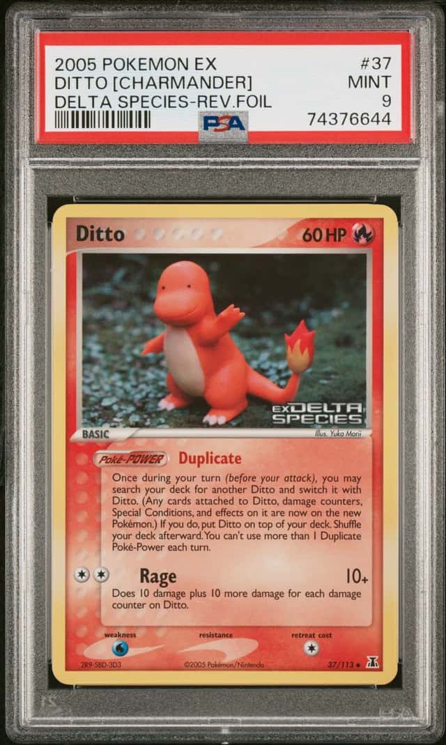 Ditto [Charmander]