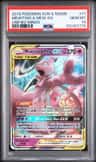 Mewtwo & Mew Gx