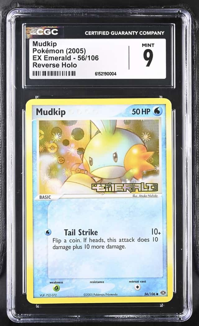 Mudkip