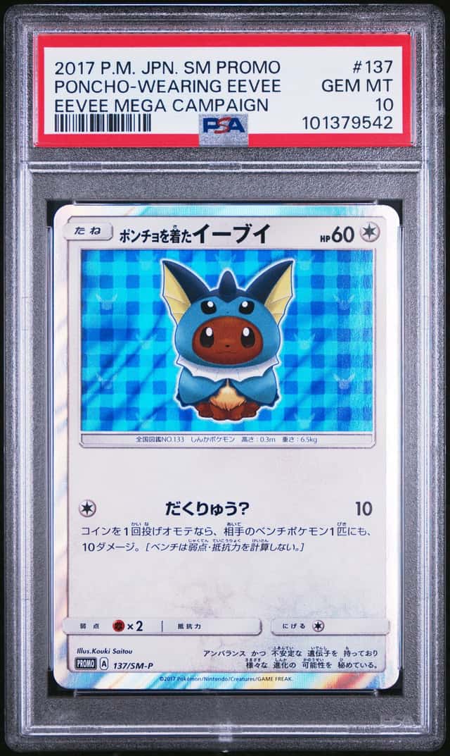 Poncho-wearing Eevee