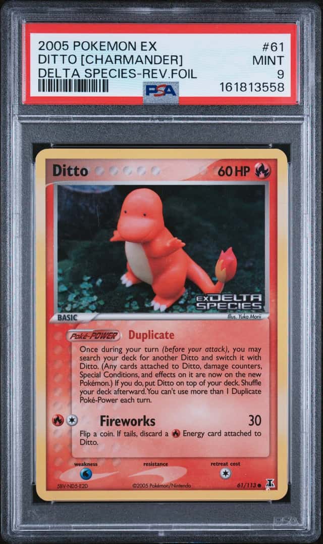 Ditto [Charmander]