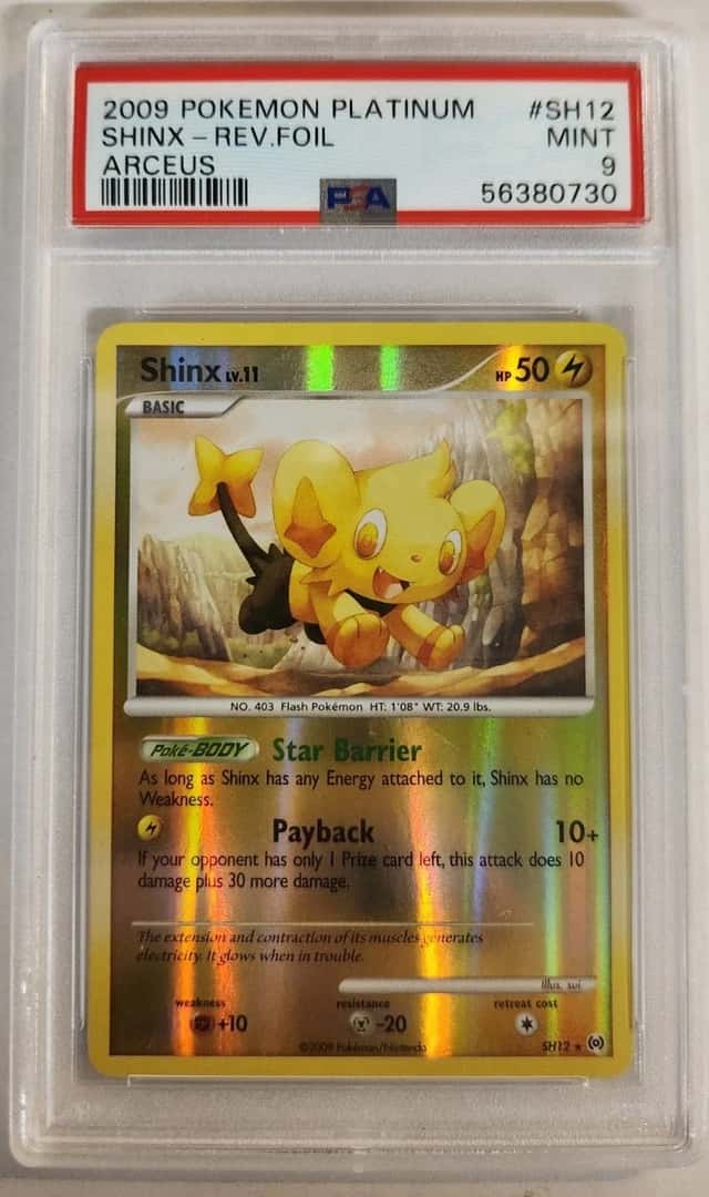 Shinx