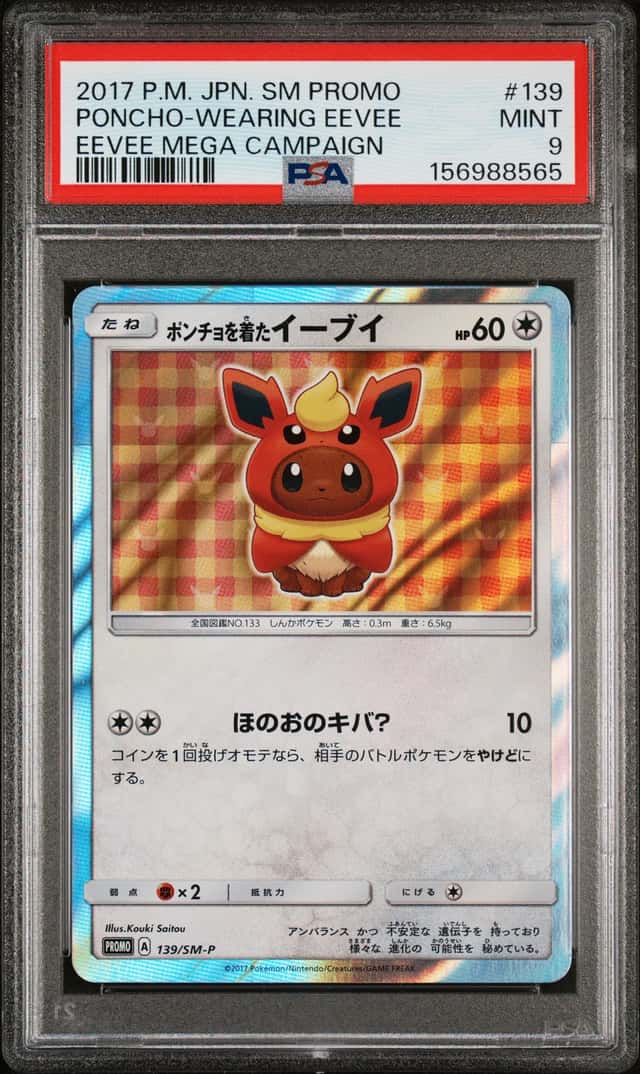 Poncho-Wearing Eevee