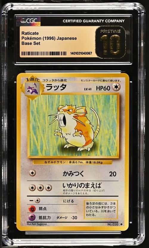 Raticate