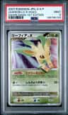 Leafeon Lv X