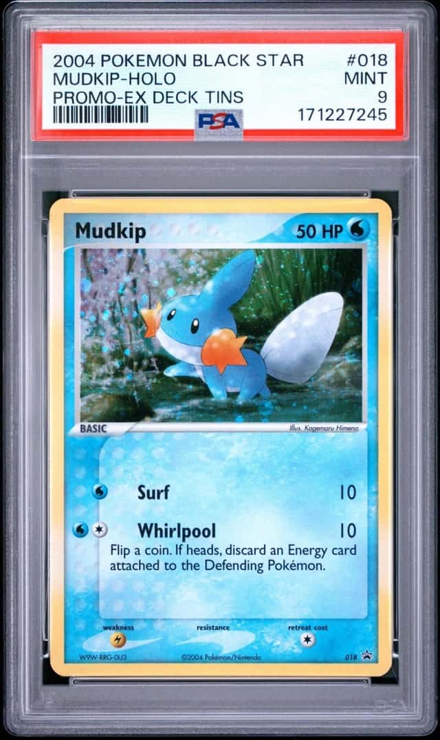 Mudkip