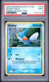 Mudkip