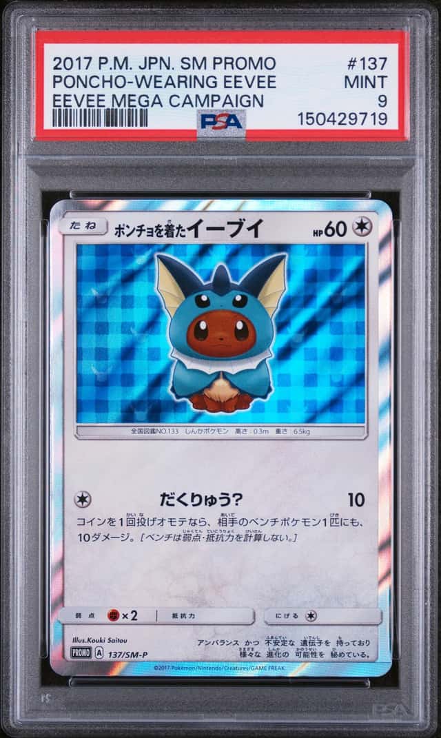 Poncho-wearing Eevee