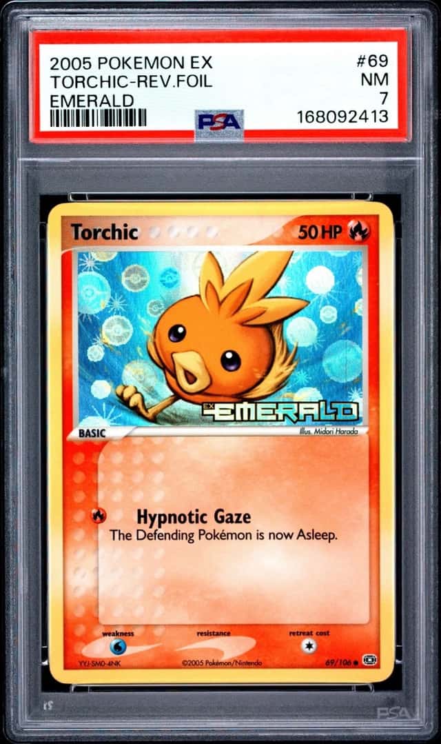 Torchic