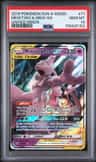 Mewtwo & Mew Gx