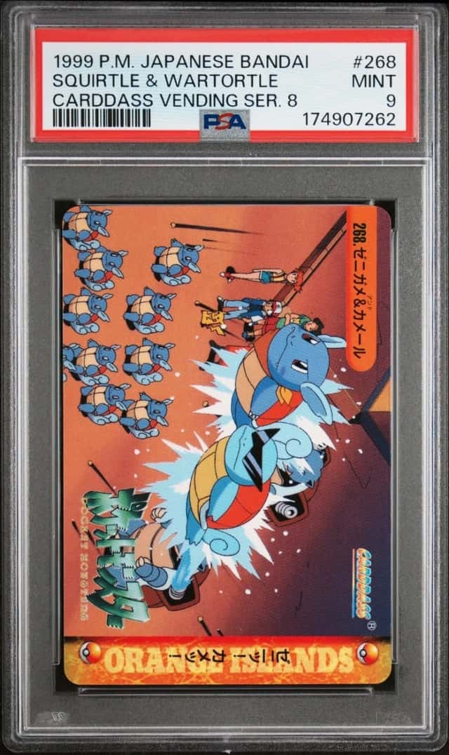 Squirtle & Wartortle