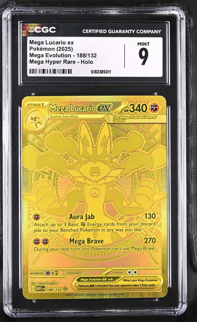 MEGA LUCARIO ex