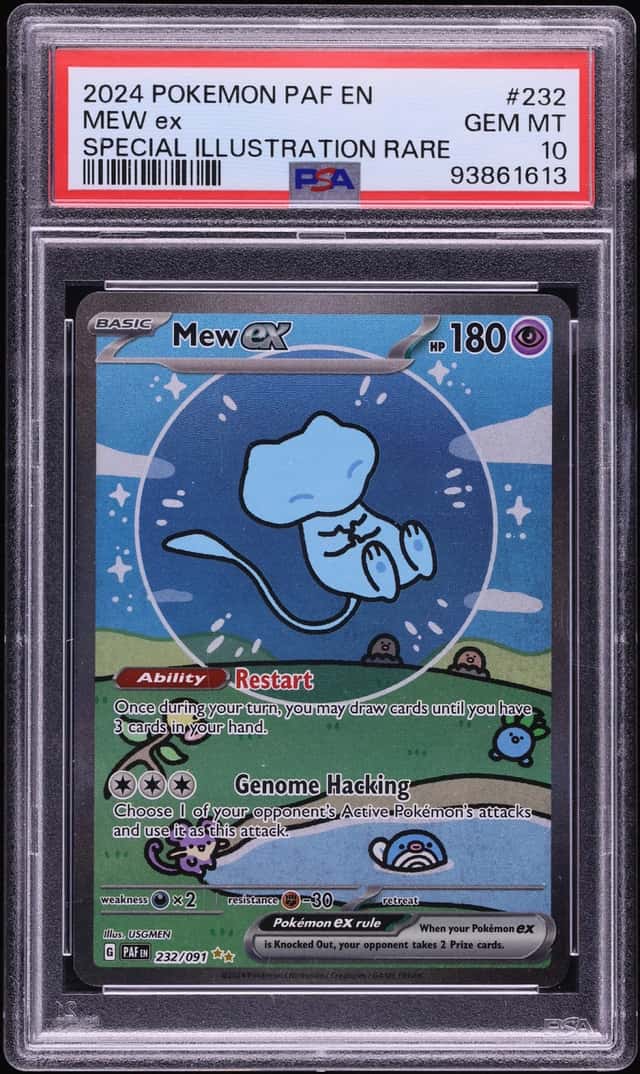 MEW ex