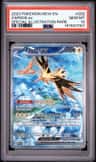 Zapdos Ex