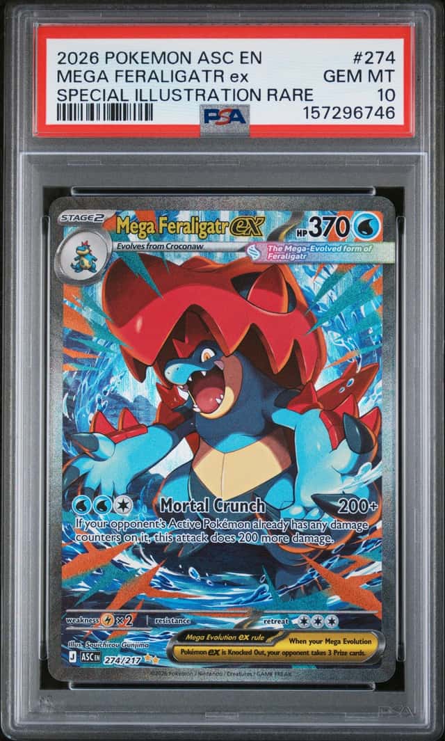 MEGA FERALIGATR ex