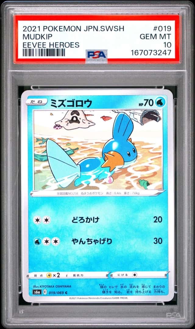 Mudkip