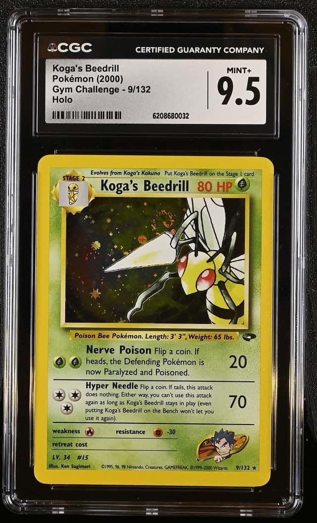 Koga's Beedrill