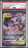 Mewtwo & Mew Gx