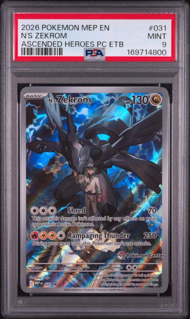 N's Zekrom