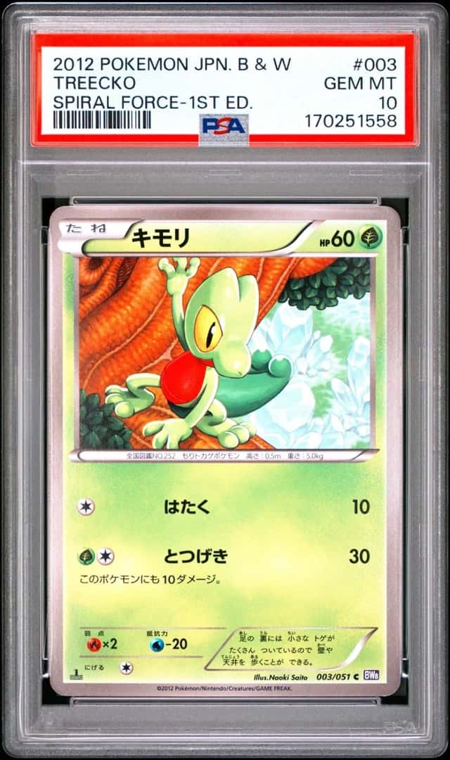 Treecko