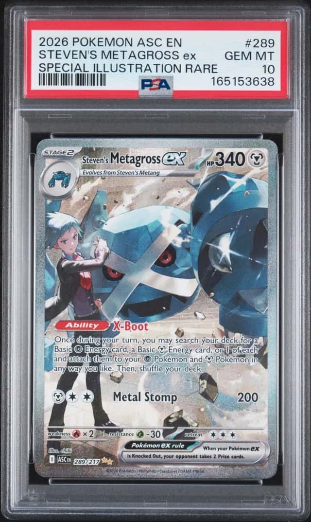STEVEN'S METAGROSS ex
