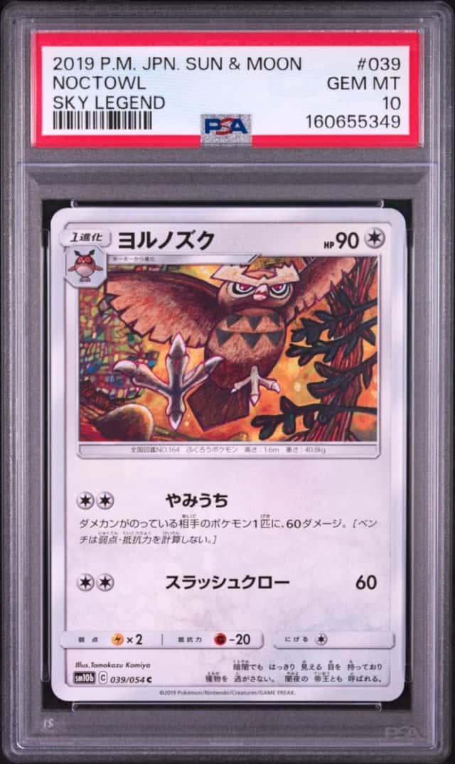 Noctowl