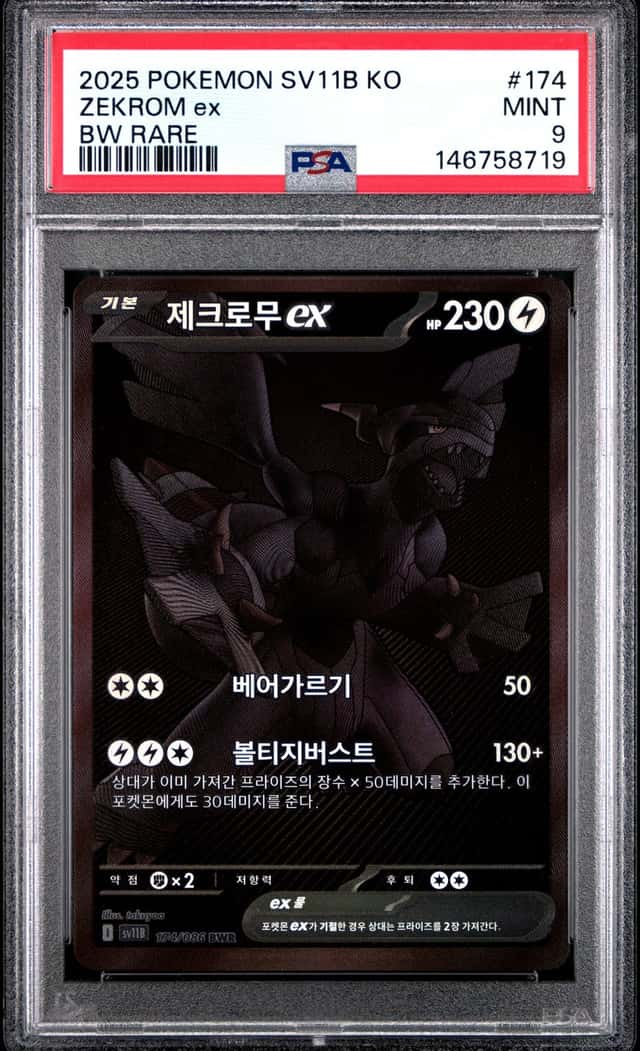 ZEKROM ex